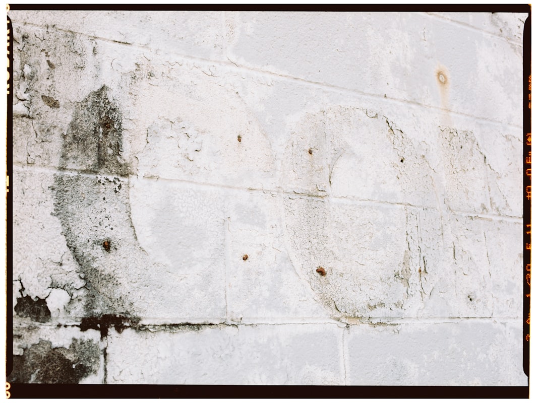 Water Extraction service in Bartlett, TN